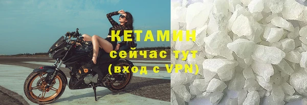 индика Осинники