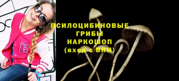 скорость Осташков