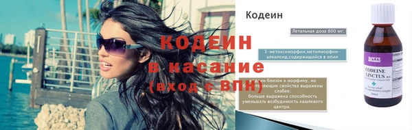 индика Осинники