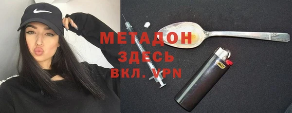 индика Осинники