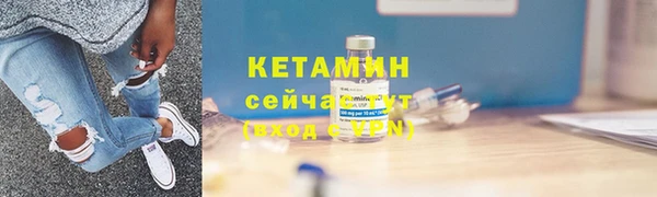 индика Осинники