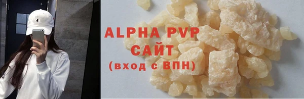 индика Осинники