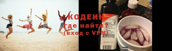 индика Осинники