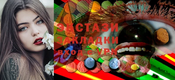 индика Осинники