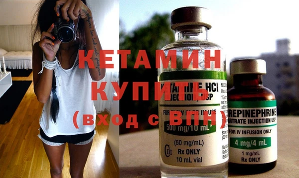 индика Осинники