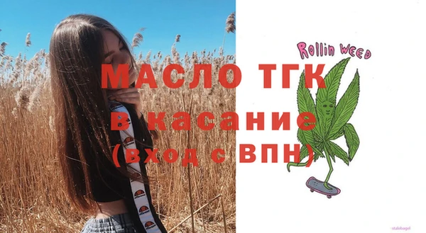 индика Осинники