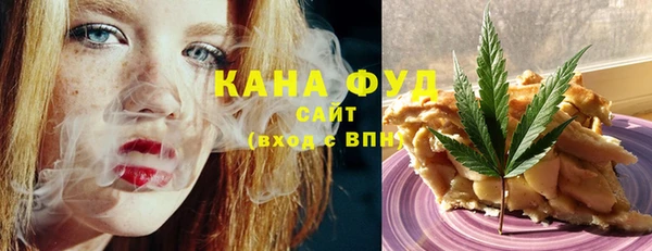 индика Осинники