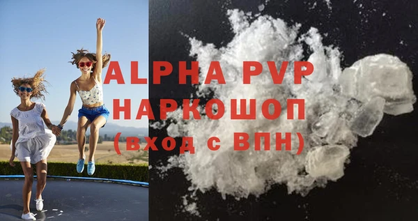 индика Осинники