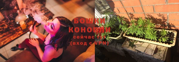 индика Осинники