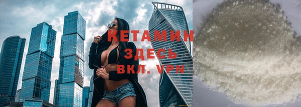 индика Осинники