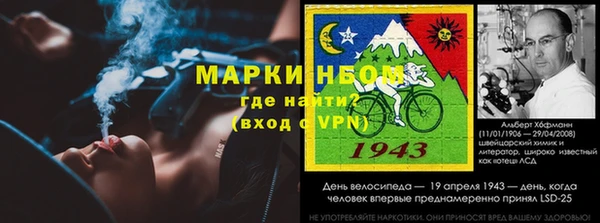 индика Осинники