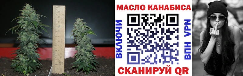 ТГК концентрат  Киреевск 