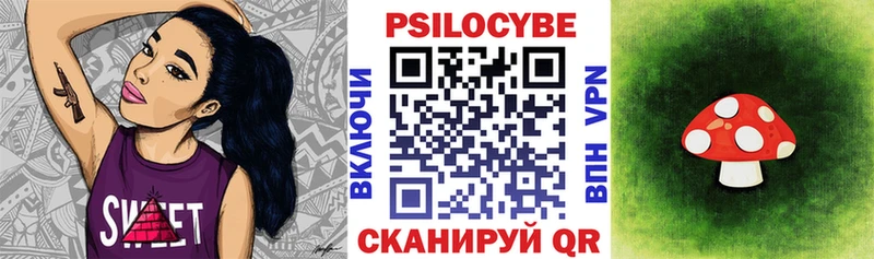 где купить наркоту  Киреевск  Галлюциногенные грибы Psilocybine cubensis 