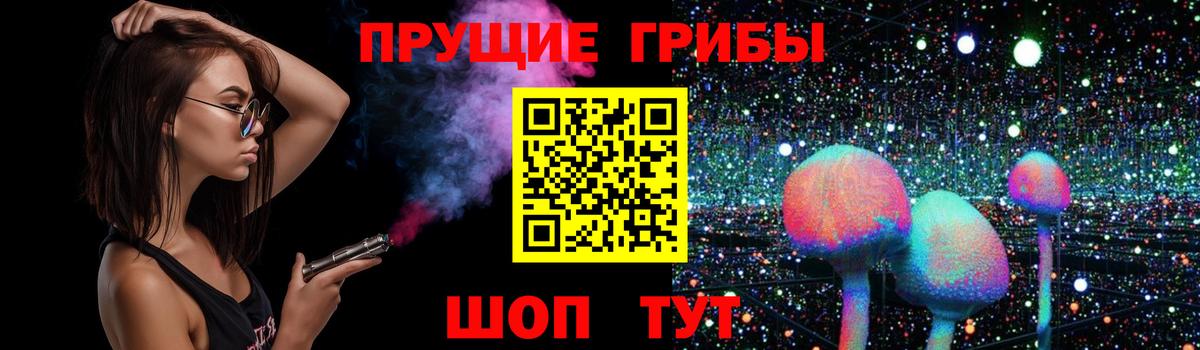 Киреевск  Псилоцибиновые грибы Psilocybine cubensis  Вход с VPN 